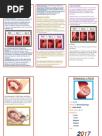 C.T.a. Triptico Embarazo y Parto