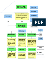 Mapa Conceptual - 1 Microscopía