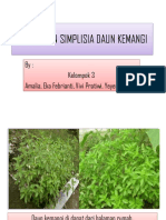 Simplisia Tanaman Kemangi