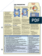 Vaccum Pumps PDF