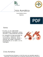 Crisis Asmatica