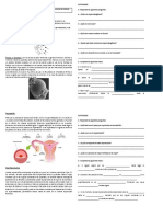 Guia de Aprendizaje Celulas Sexuales y Fecundacion