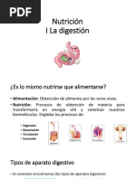 Digestivo Presentacion