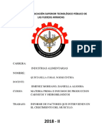 Informe 1 de Materia