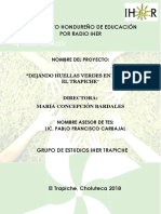 Proyecto Dejando Huellas Verdes