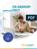 Big Data Hadoop Architect