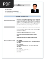 Nelson Vallejos Davila - CV PDF