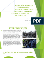 Biorremediación de Suelo Contaminado Con Hidrocarburos Empleando Lodos