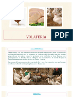 Volateria