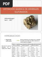 Unidad 5b Lixiviacion Quimica de Minerales Sulfurados