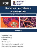 Bacteria Morfologia 1