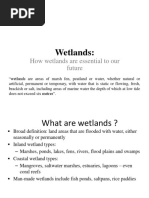 Wetlands