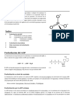 Fosforilación