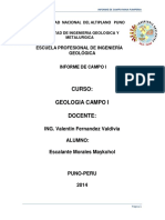 Informe de Campo I Maykohol PDF