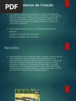 Formas e Sistemas de Criação de Quelônios