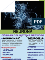 Neuron As