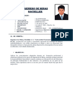 CV Alan Cuno Valeriano