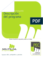 Descripcion Programa Pec Autogestion