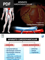 Fisiología Humana