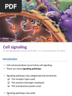 Cell Signalling 1.2 2017