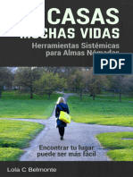 13 Casas Muchas Vidas. Herramientas Sistémicas