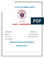 Measure of Civil and Criminal Liability: S - jurisprudence-II