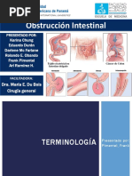 Obstrucción INtestinal Fin2