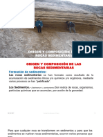 Origen y Composición Rocas Sedimentarias PDF