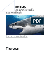 Tiburón