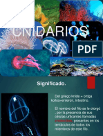 Cnidarios