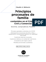 Belluscio Principios Procesales en Familia PDF