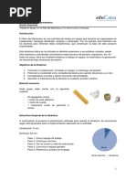 Traja en Equipo Con El Reto Del Malvavisco PDF