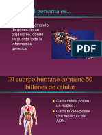 Genoma Humano