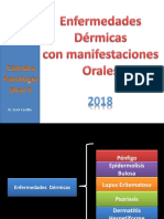 Lesiones Dermicas