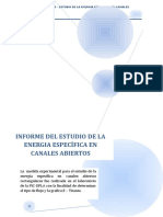 Informe Energia Especifica