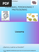 Lisosomas, Peroxisomas y Proteosomas 2