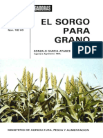 El Sorgo para Grano