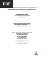 Documento Redes Departamento Del Cauca Definitivo