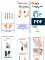 Pie Diabetico Definitivo Con Cambios Finales