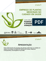 C1 E1 PPT Emprego de Plantas Medicinais