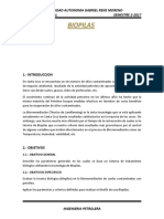 Informe Biopilas