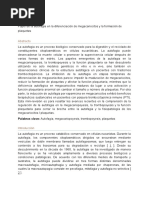 5 Papel de La Autofagia en La Diferenciación de Megacariocitos y La Formación de Plaquetas PDF