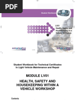 LV01 - Health Safety - Issue 1 PDF