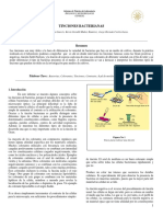 Informe Tinciones