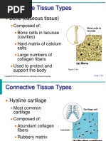 Tissues Presentation Unit One Part 2