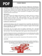 Fibroid Uterus