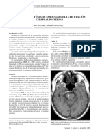 Variantes Anatomicas Circulacion Cerebral