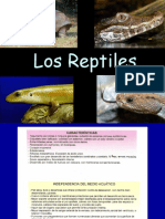 6 Teorico Reptiles