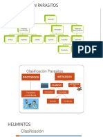 Clasificacion Parasitos