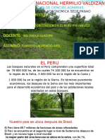 Agroforesteria Diapo